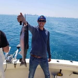 Meet your Posher, Dominic